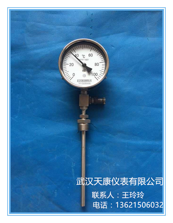 武汉天康远传双金属温度计WSSP 4-20MA输出,精度高