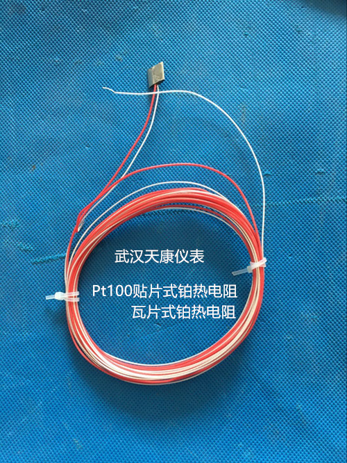 武汉天康贴片瓦片式铂电阻WZPT-05百度询价？